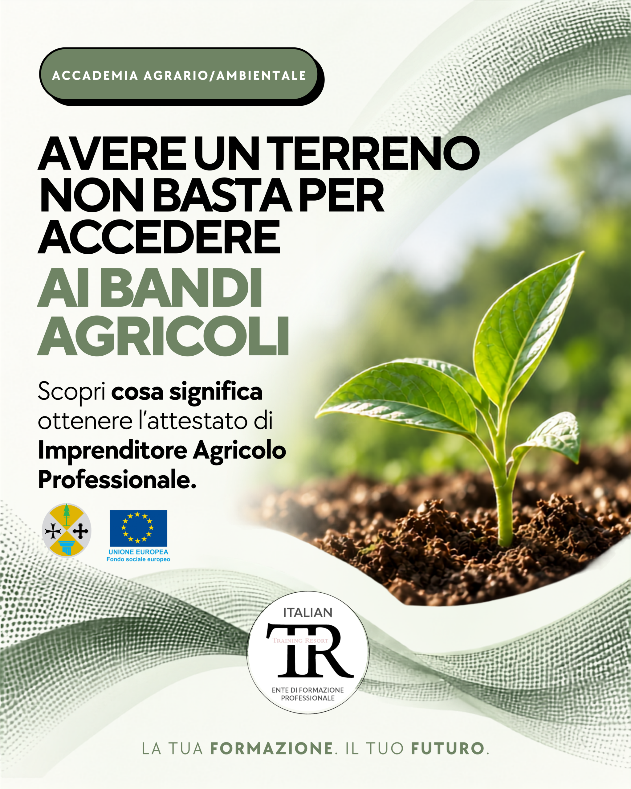 Terreno